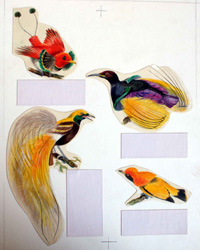 Four Birds of Paradise (Original)