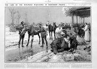 The Wounded War-Horse (original page from The Sphere 1915) (Print)