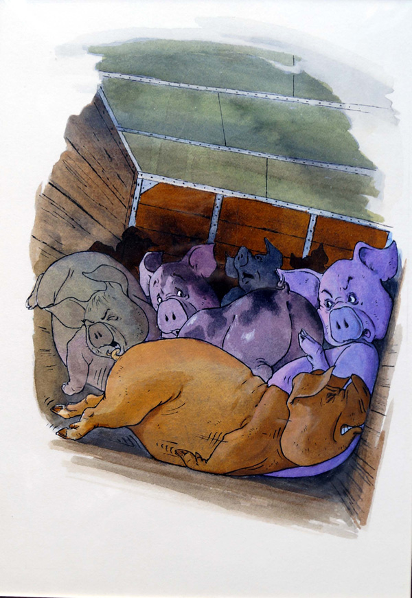Pigs (Original) by Glenn Steward Art at The Illustration Art Gallery